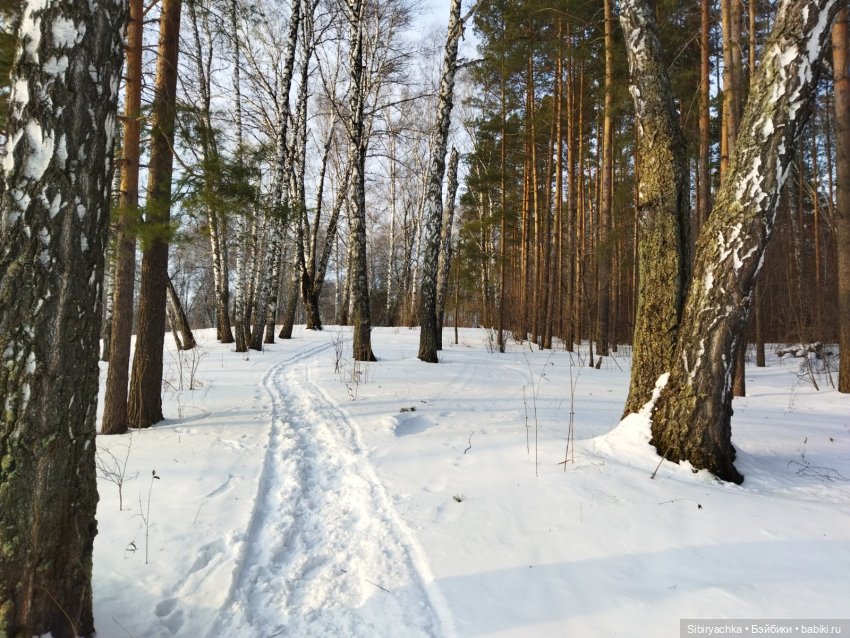 Красота сибирской природы