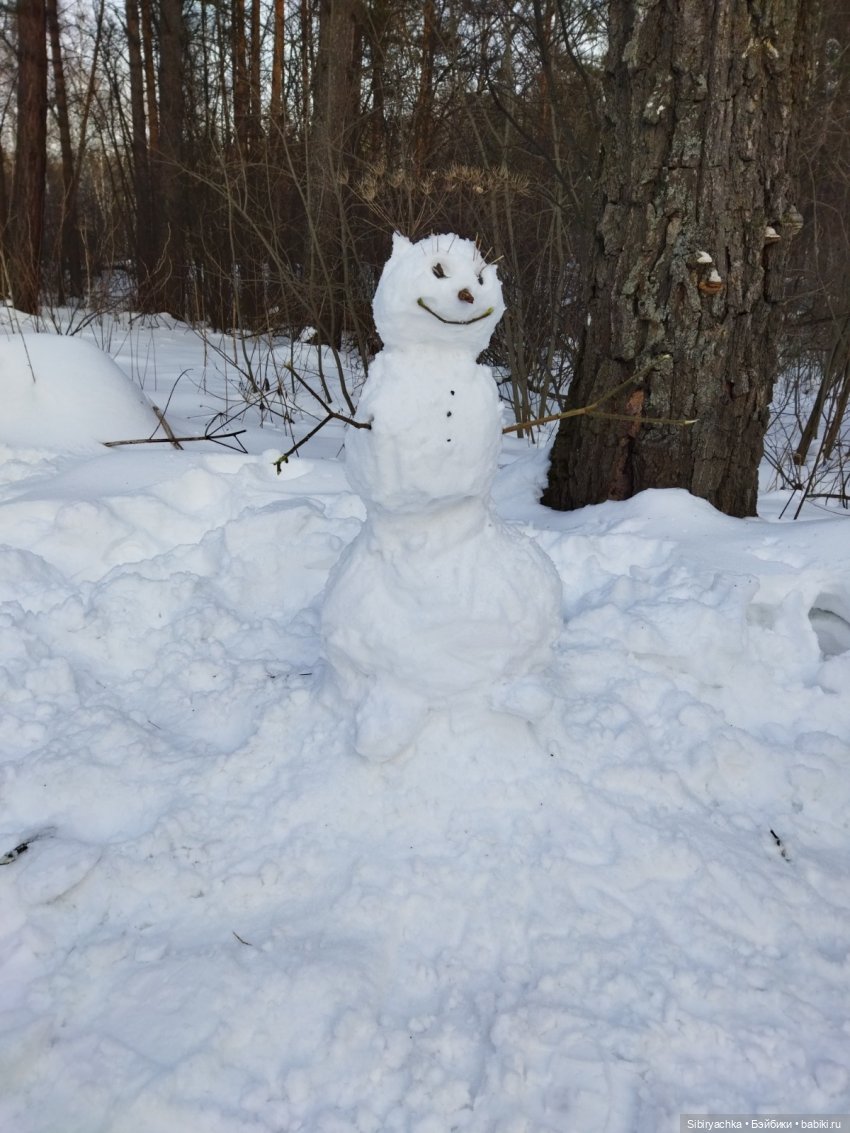 Красота сибирской природы