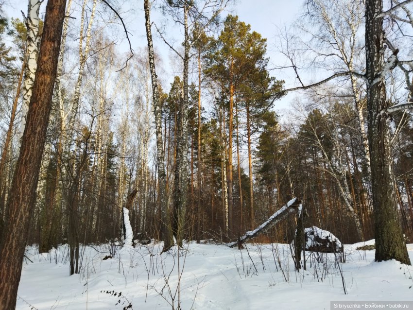 Красота сибирской природы