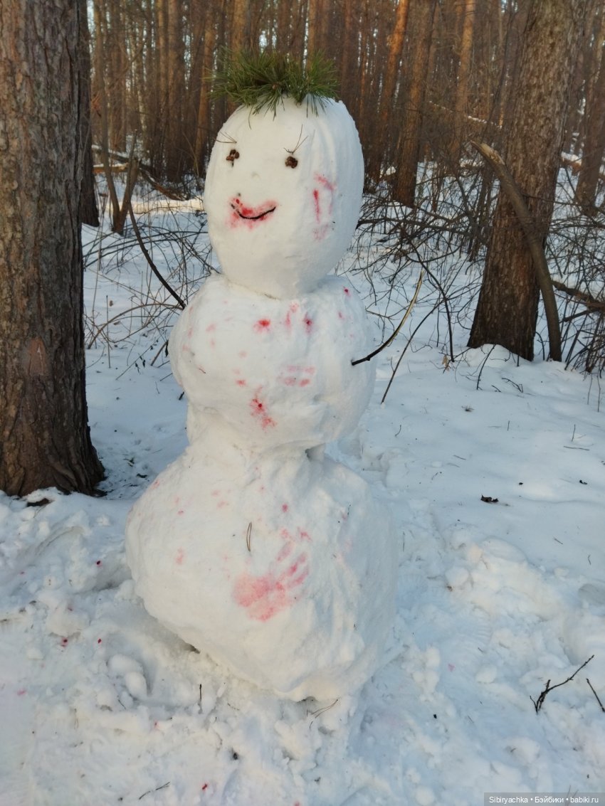 Красота сибирской природы