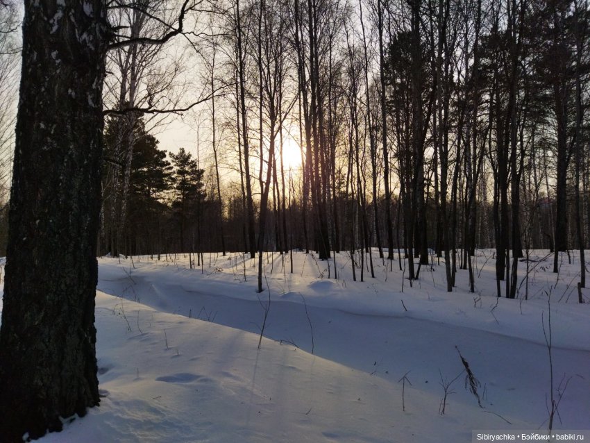 Красота сибирской природы
