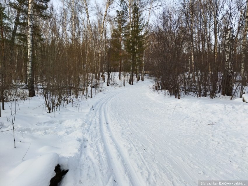 Красота сибирской природы