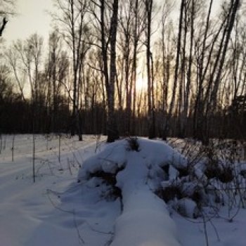 Красота сибирской природы.