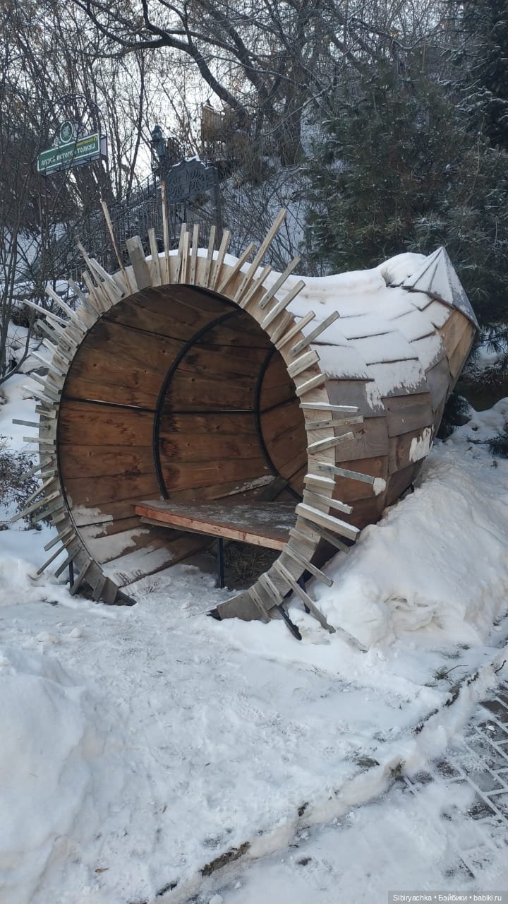 Василёк в сувенирной лавке