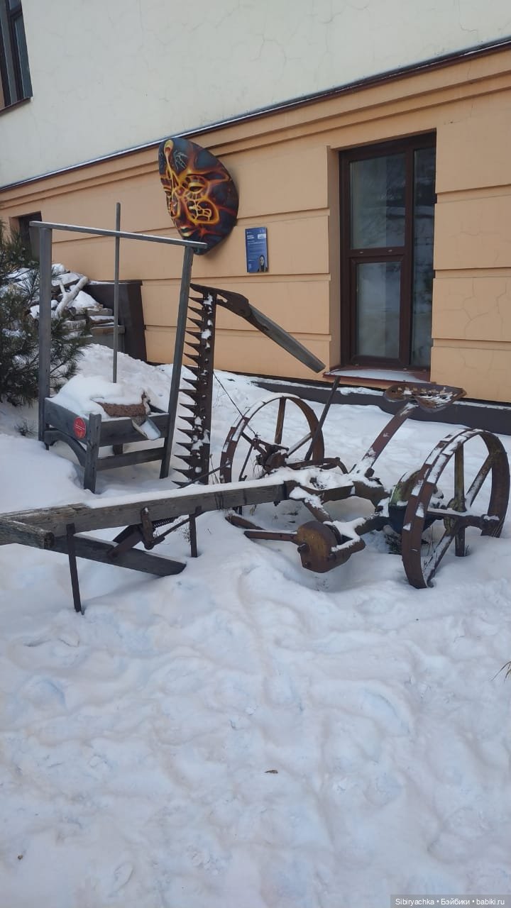 Василёк в сувенирной лавке