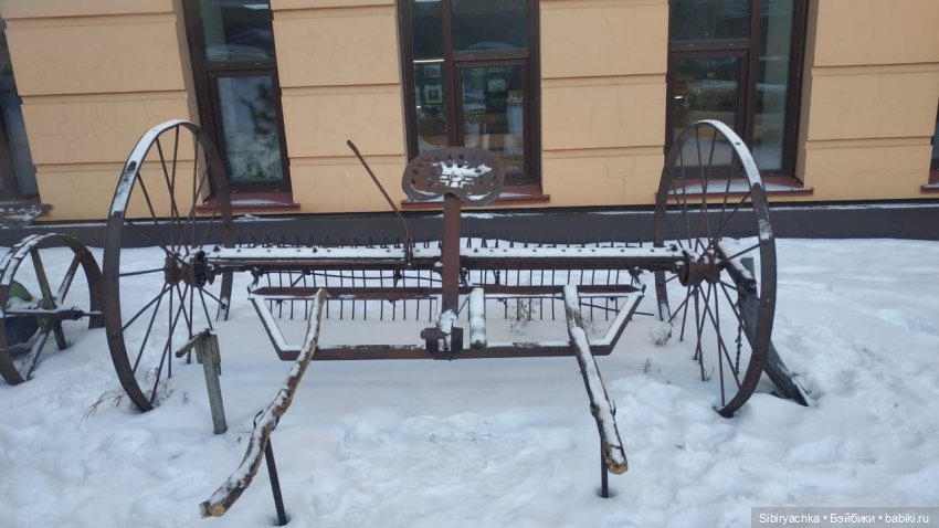 Василёк в сувенирной лавке