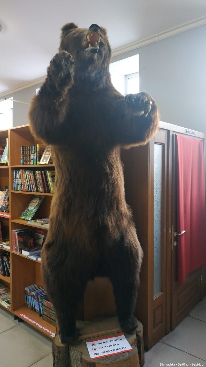 Василёк в сувенирной лавке