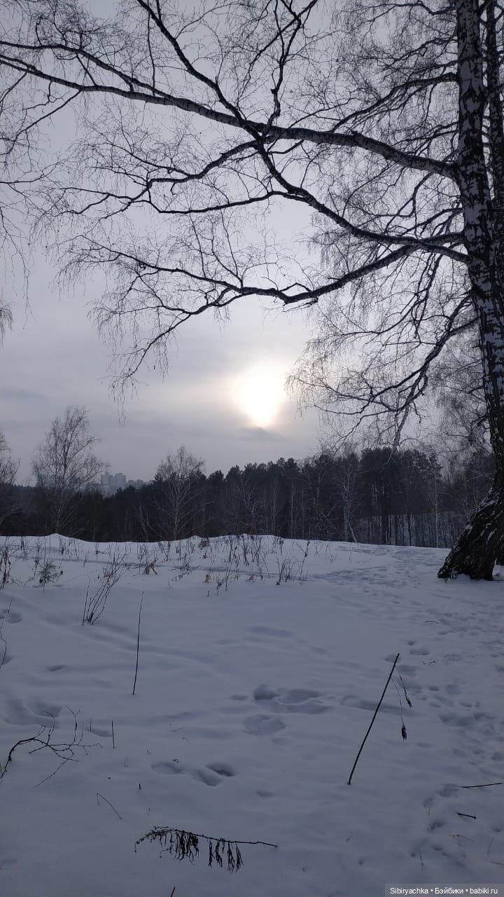 Прогулка Василька и Лизоньки в лесу