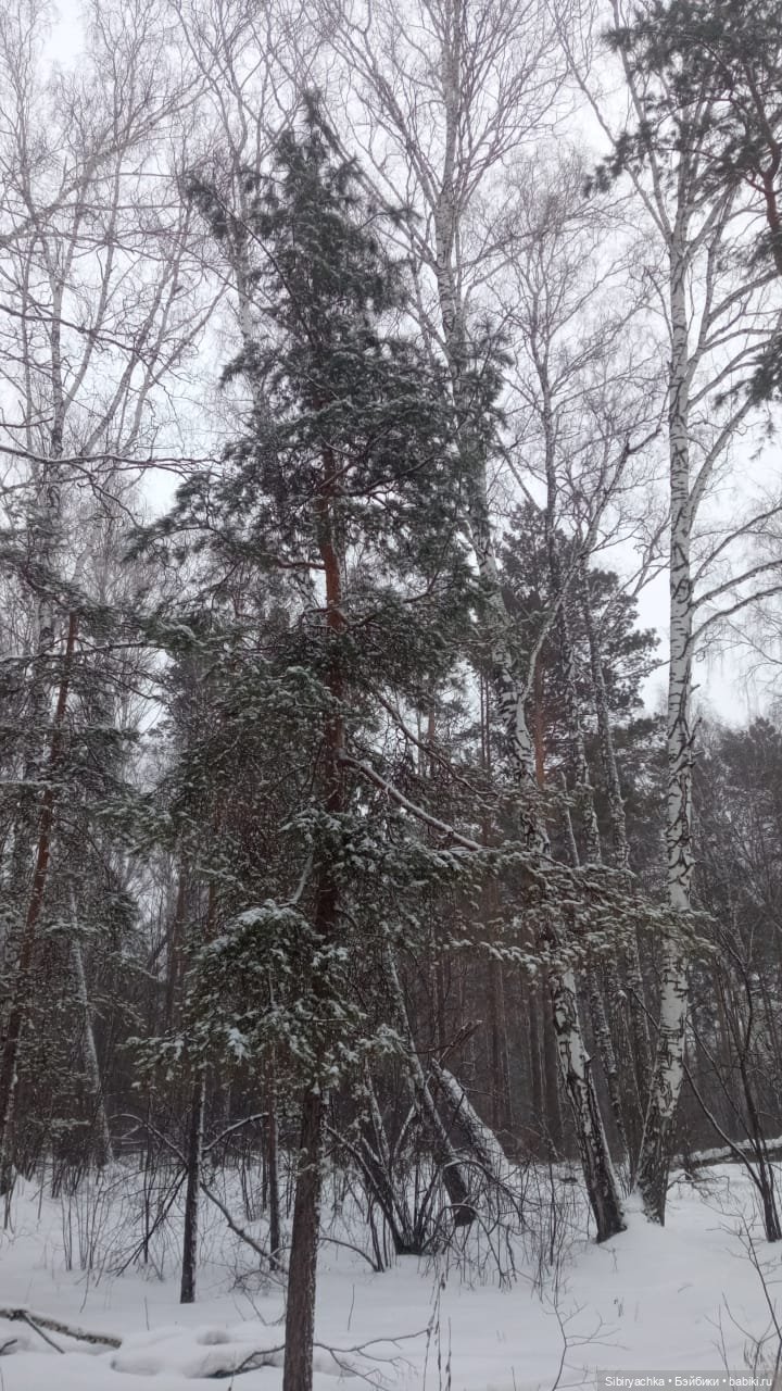 Василёк в лесу — Игровые куклы разных производителей (Разное): редкие бренды