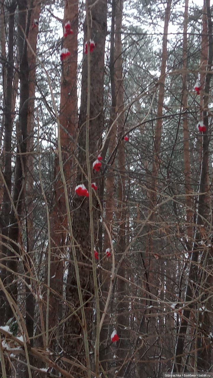 Василёк в лесу — Игровые куклы разных производителей (Разное): редкие бренды (фото 4)