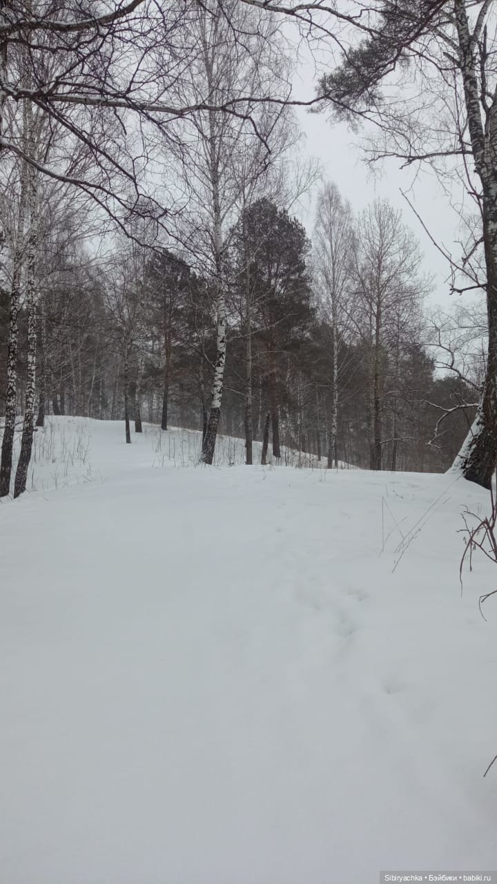 Василёк в лесу — Игровые куклы разных производителей (Разное): редкие бренды