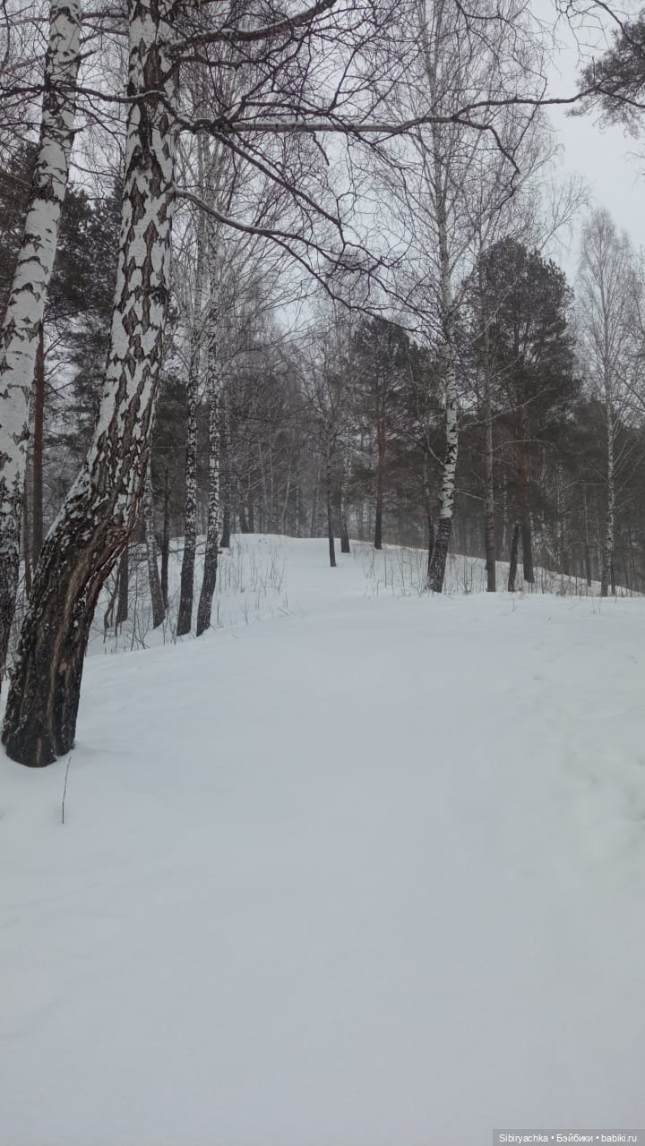 Василёк в лесу — Игровые куклы разных производителей (Разное): редкие бренды