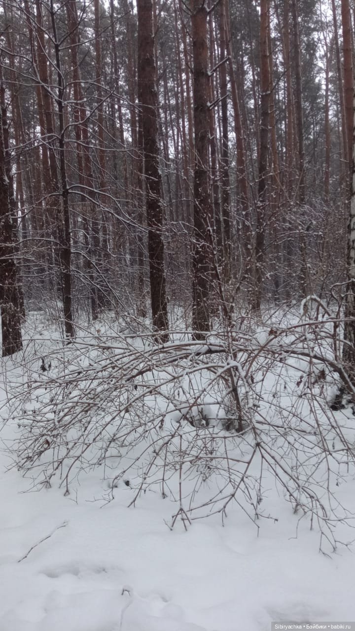 Василёк в лесу — Игровые куклы разных производителей (Разное): редкие бренды (фото 2)