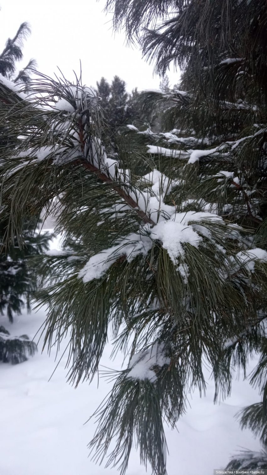 Василёк в лесу — Игровые куклы разных производителей (Разное): редкие бренды