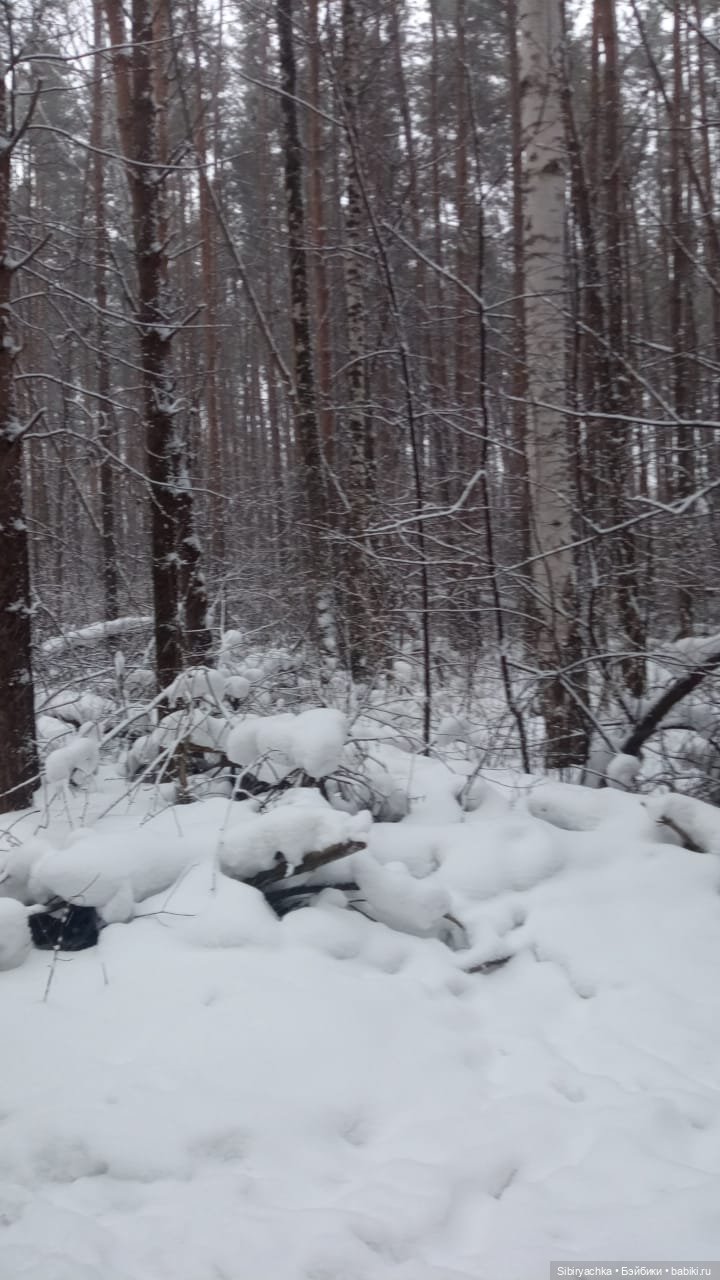 Василёк в лесу — Игровые куклы разных производителей (Разное): редкие бренды