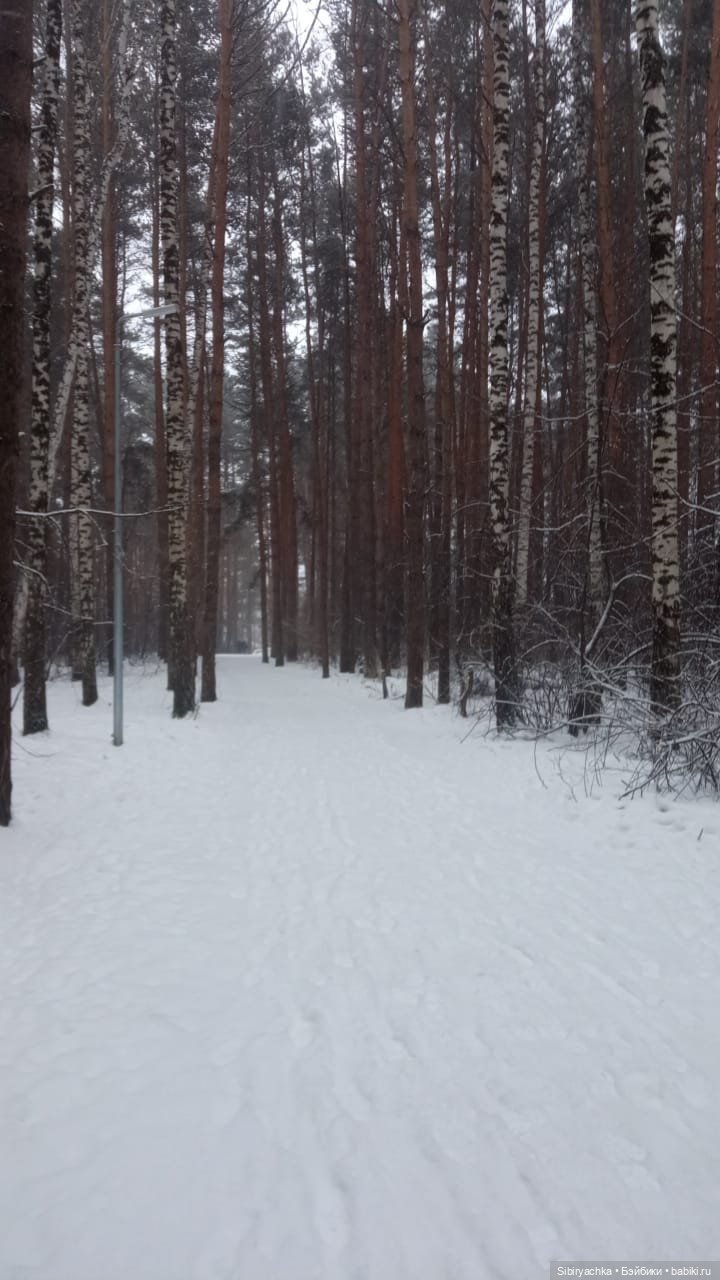 Василёк в лесу — Игровые куклы разных производителей (Разное): редкие бренды (фото 3)