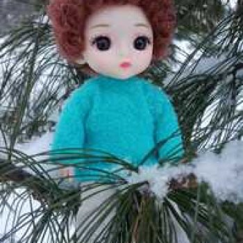 Василёк в лесу.