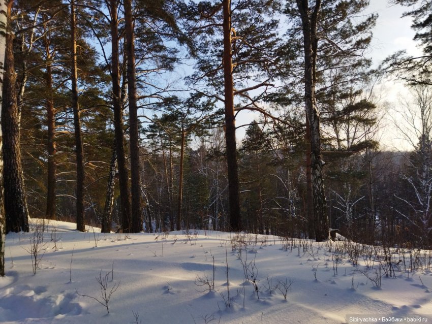 Красота сибирской природы