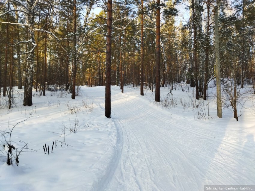 Красота сибирской природы (фото 6)