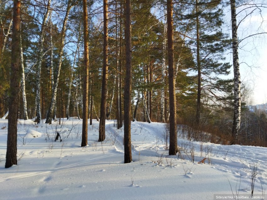 Красота сибирской природы