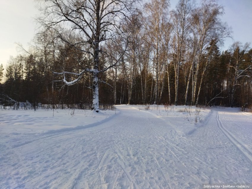 Красота сибирской природы (фото 10)