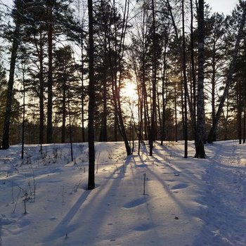 Красота сибирской природы.