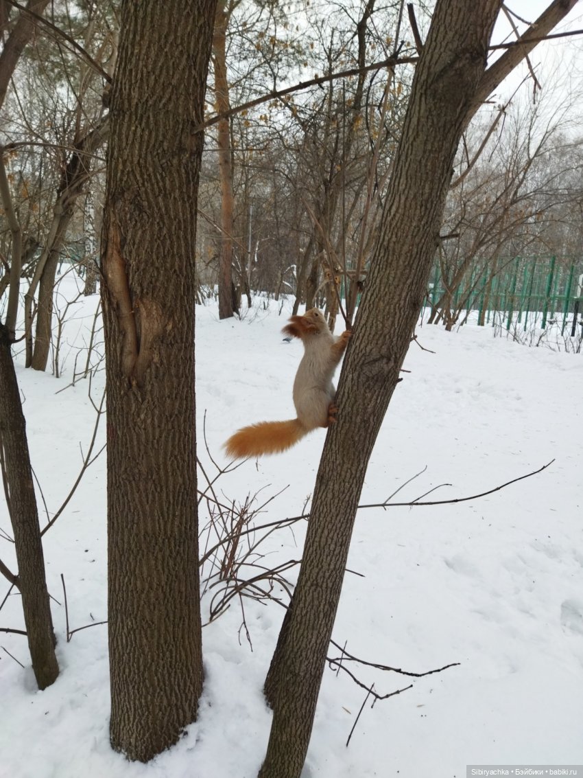 Тайны природы и неожиданные сюрпризы для малышей