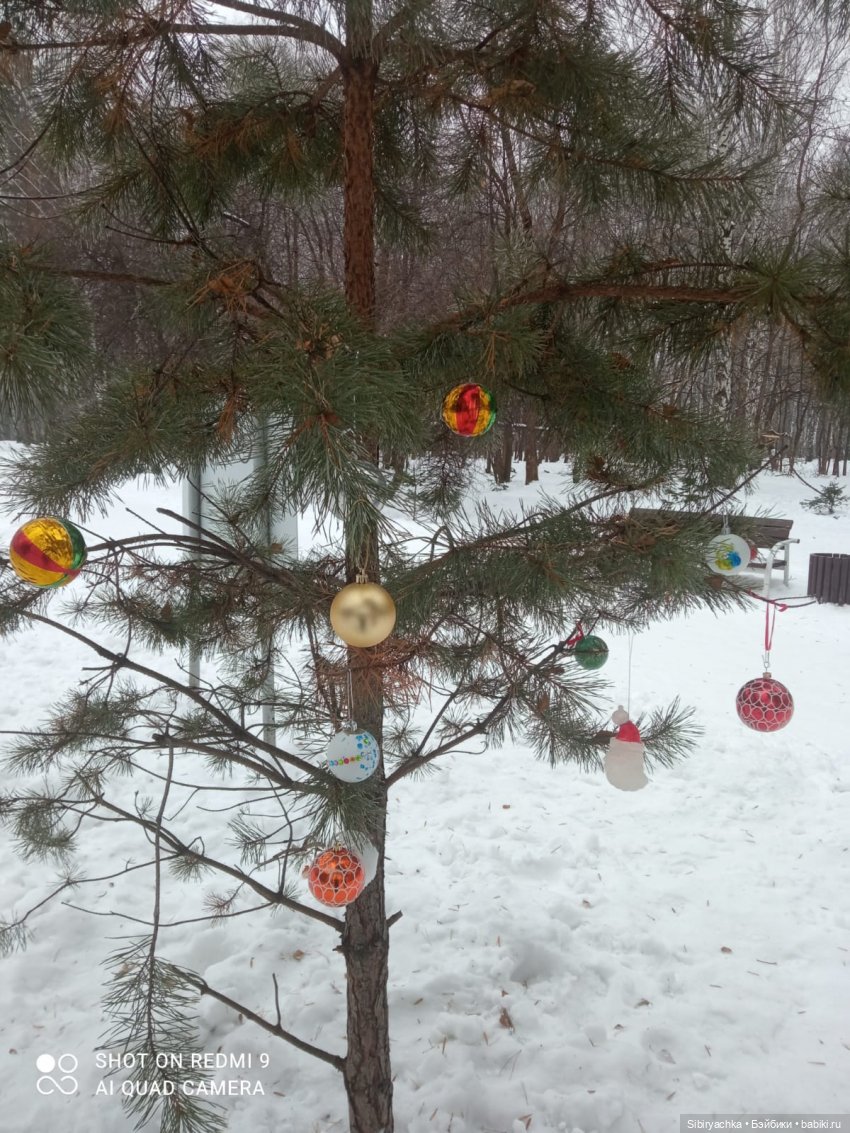 Тайны природы и неожиданные сюрпризы для малышей