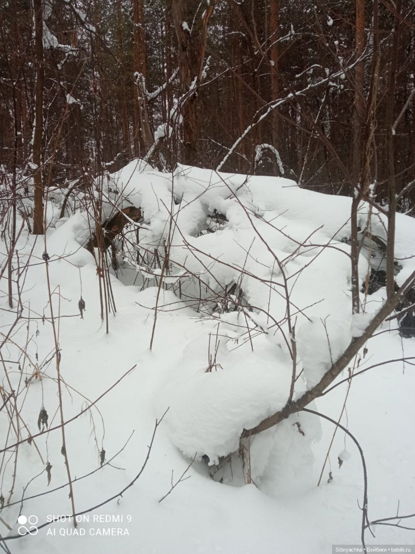 Тайны природы и неожиданные сюрпризы для малышей