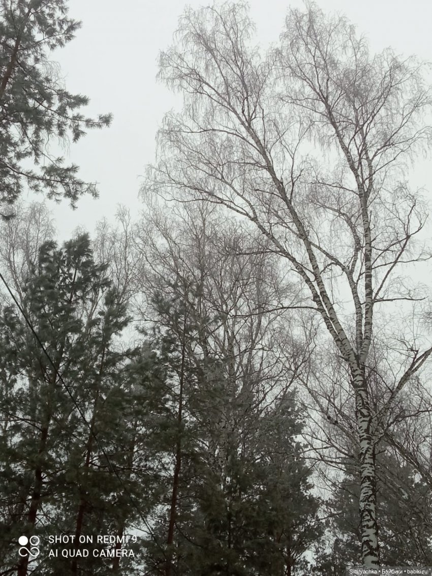 Тайны природы и неожиданные сюрпризы для малышей