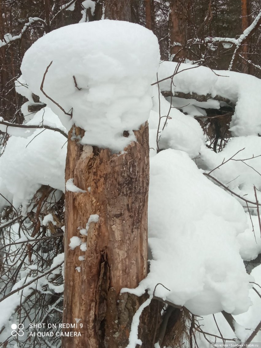 Тайны природы и неожиданные сюрпризы для малышей