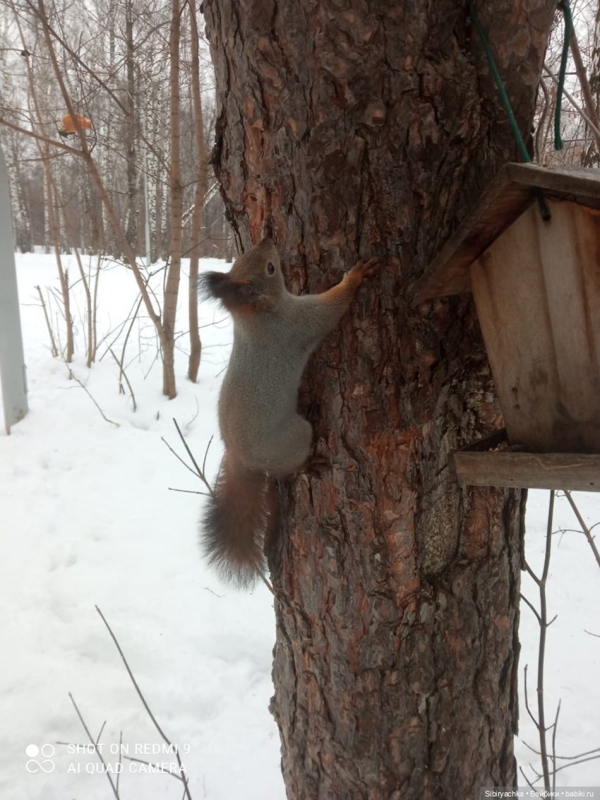Тайны природы и неожиданные сюрпризы для малышей