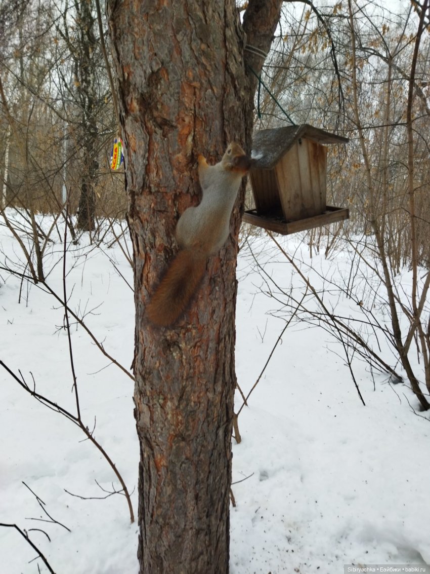 Тайны природы и неожиданные сюрпризы для малышей