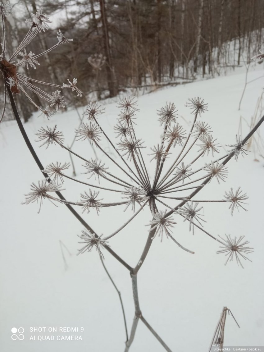 Тайны природы и неожиданные сюрпризы для малышей