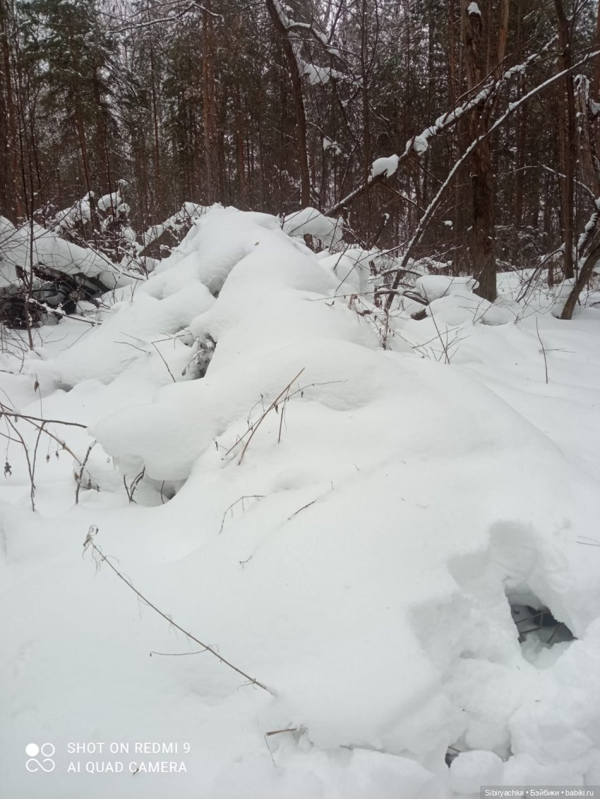 Тайны природы и неожиданные сюрпризы для малышей