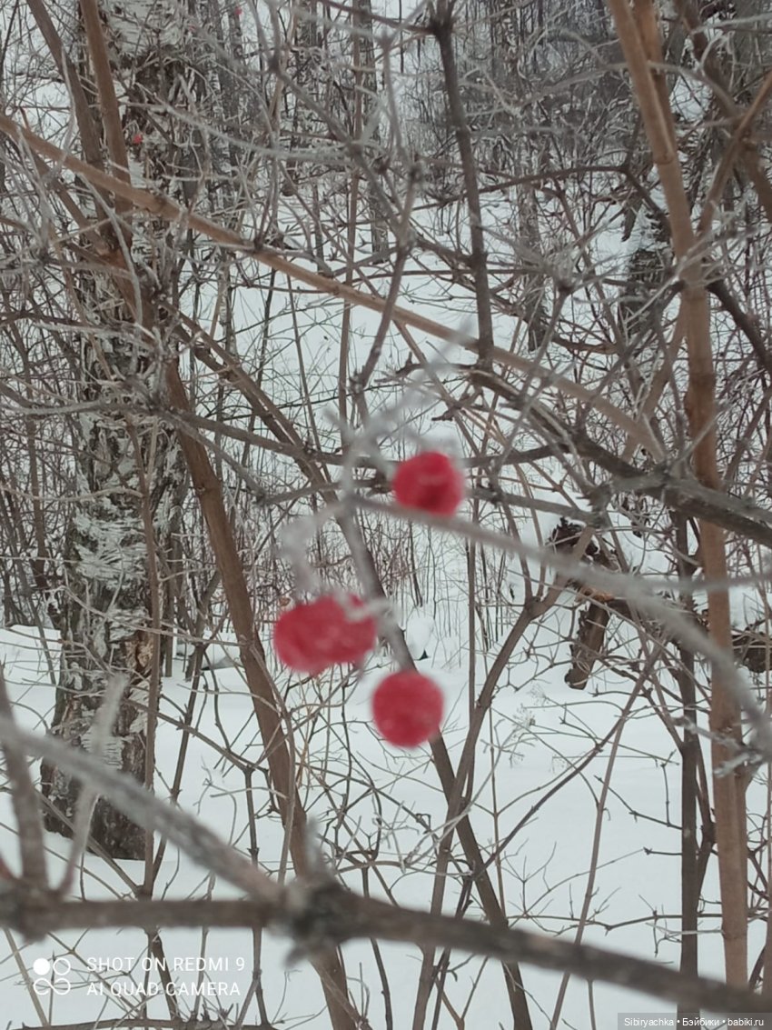 Тайны природы и неожиданные сюрпризы для малышей