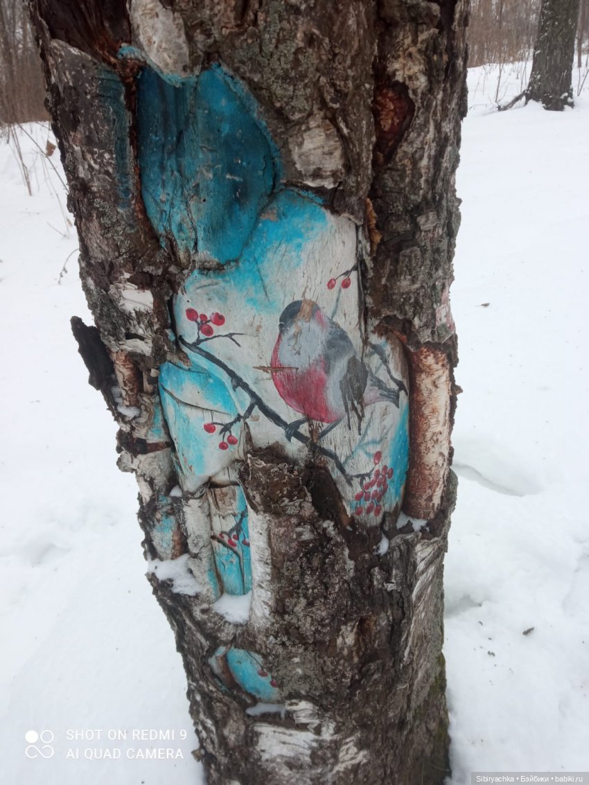 Тайны природы и неожиданные сюрпризы для малышей (фото 4)