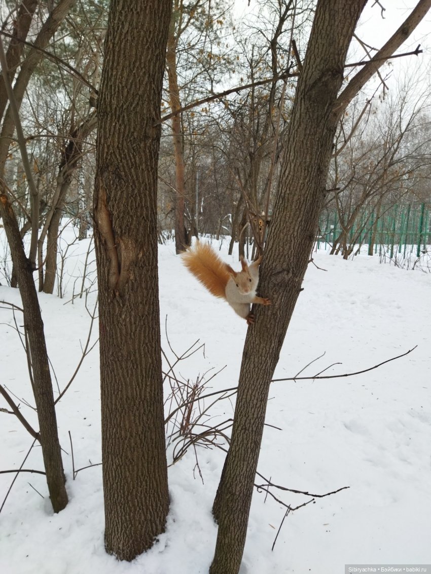 Тайны природы и неожиданные сюрпризы для малышей