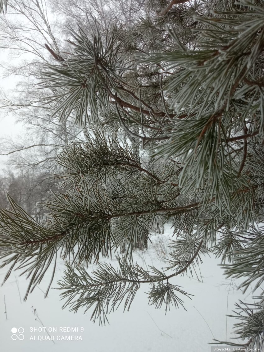 Тайны природы и неожиданные сюрпризы для малышей