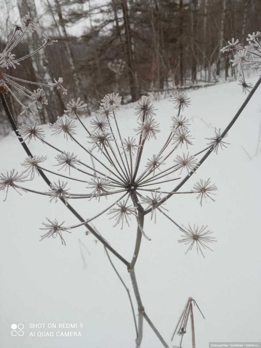 Тайны природы и неожиданные сюрпризы для малышей