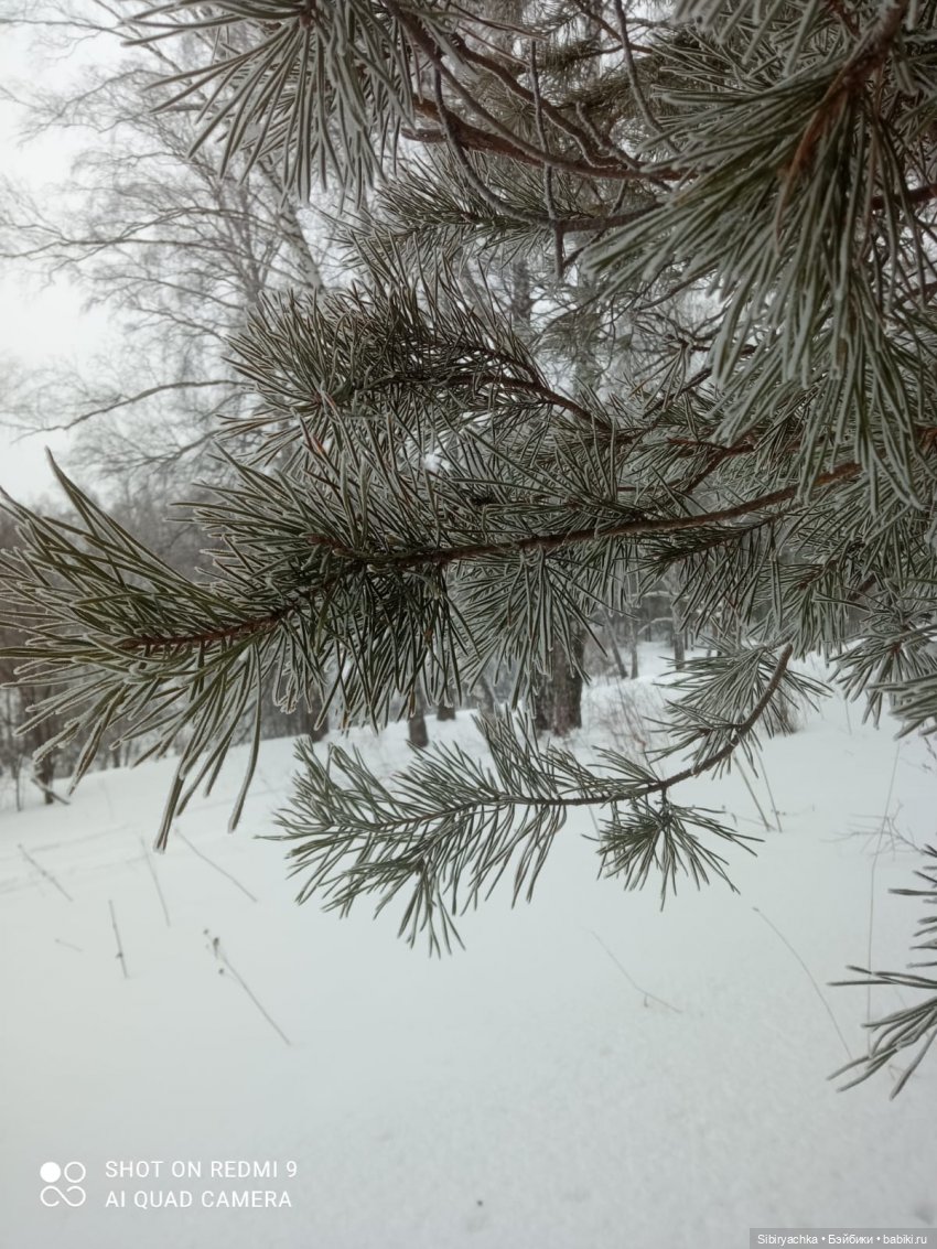 Тайны природы и неожиданные сюрпризы для малышей