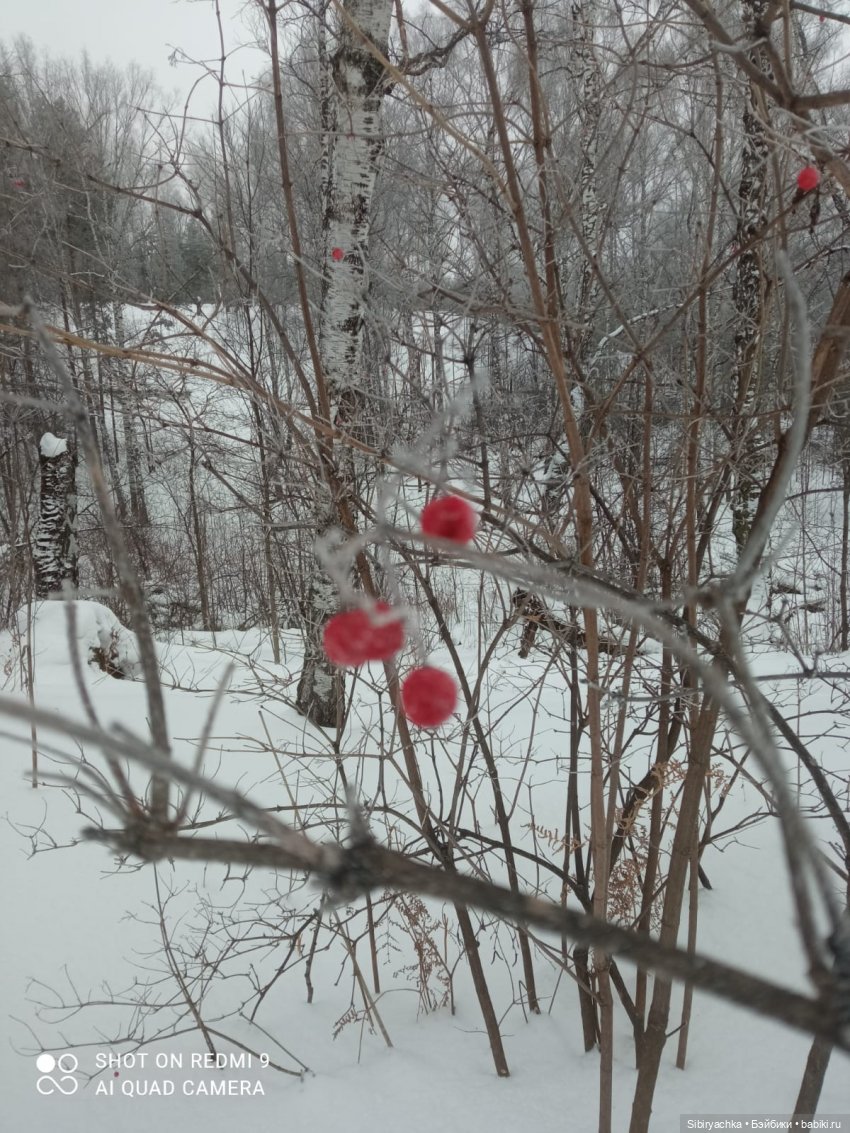 Тайны природы и неожиданные сюрпризы для малышей