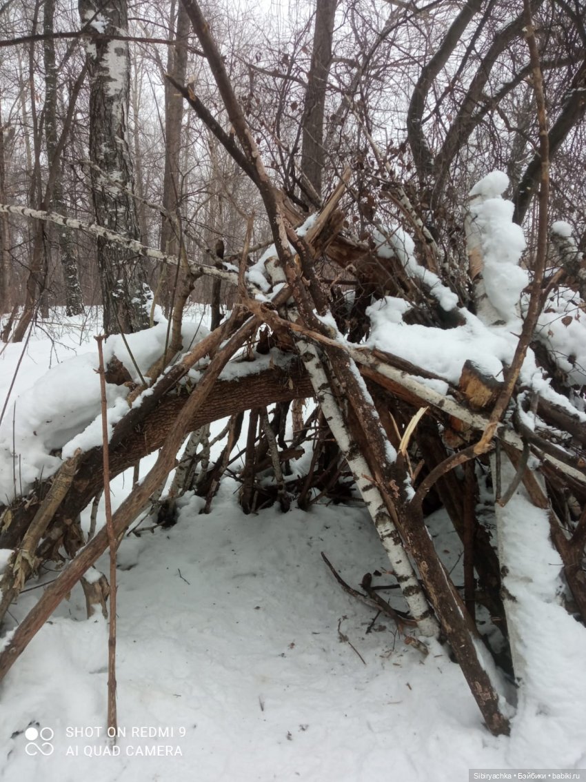 Тайны природы и неожиданные сюрпризы для малышей (фото 8)