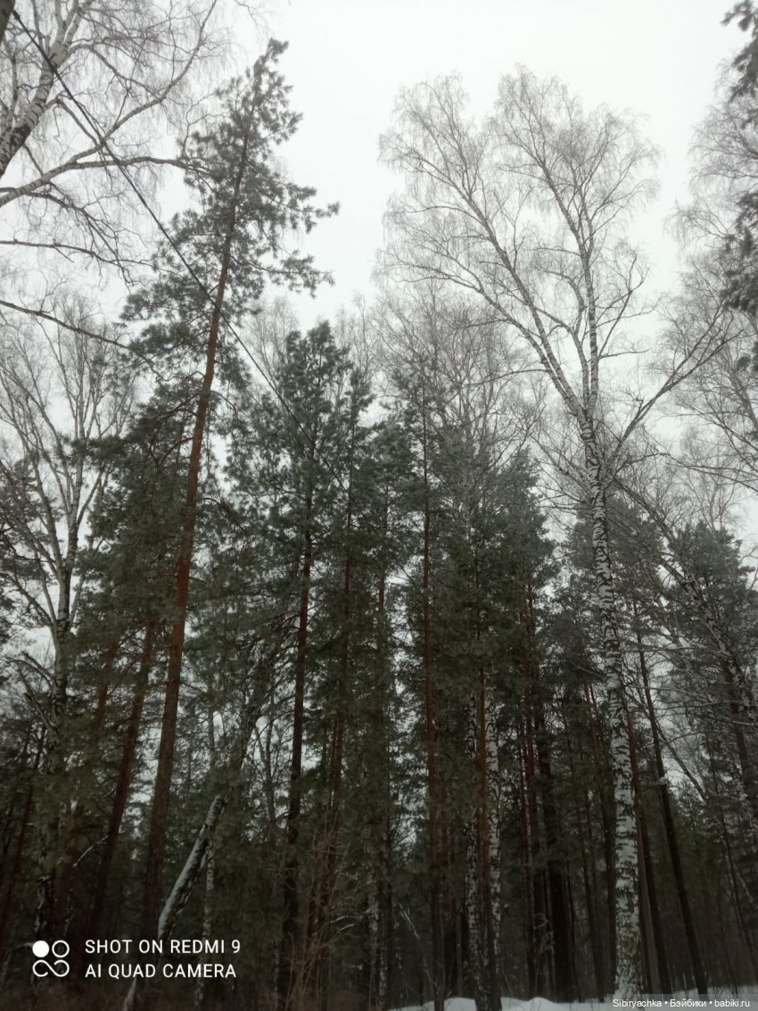 Тайны природы и неожиданные сюрпризы для малышей