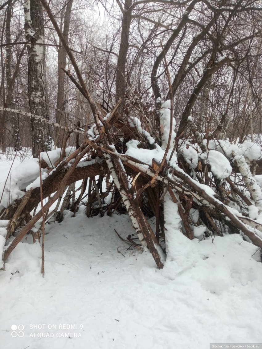 Тайны природы и неожиданные сюрпризы для малышей (фото 7)