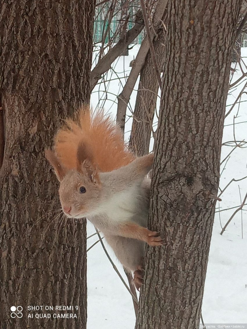 Тайны природы и неожиданные сюрпризы для малышей