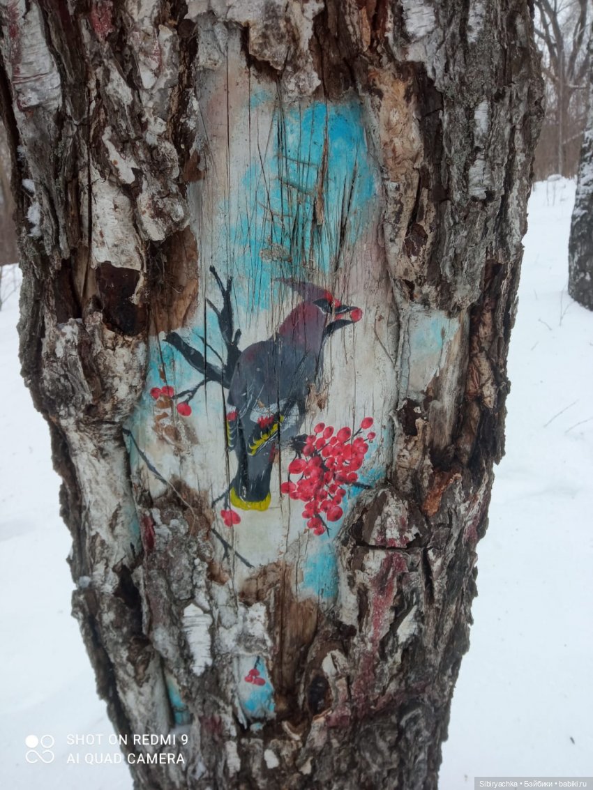 Тайны природы и неожиданные сюрпризы для малышей