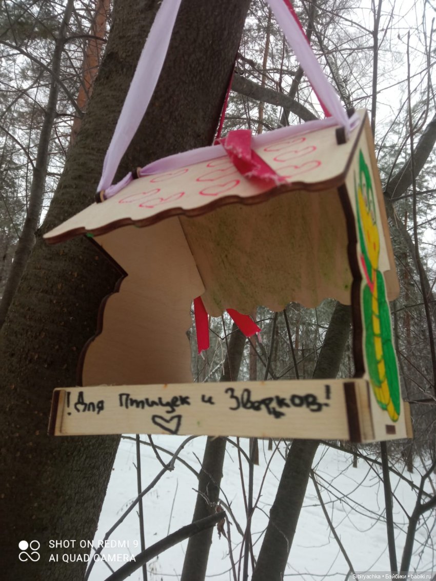 Тайны природы и неожиданные сюрпризы для малышей