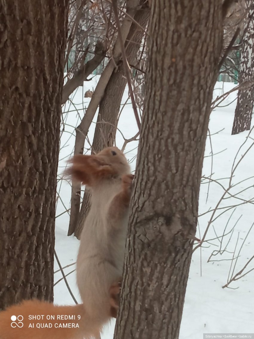 Тайны природы и неожиданные сюрпризы для малышей