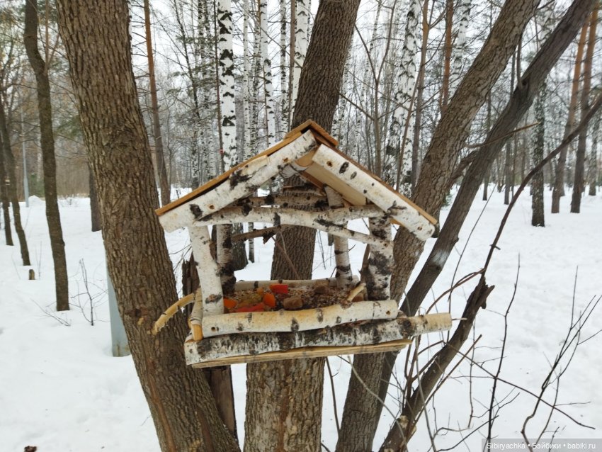Тайны природы и неожиданные сюрпризы для малышей